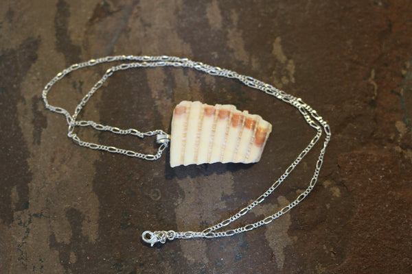 Florida Beach Seashell Necklace