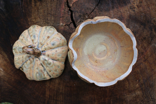Ceramic Pumpkin Fall Home Table Decor